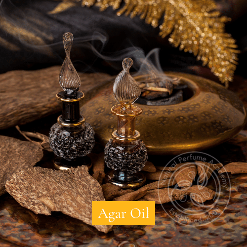 Natural Perfume Academy Main Glossary NPA